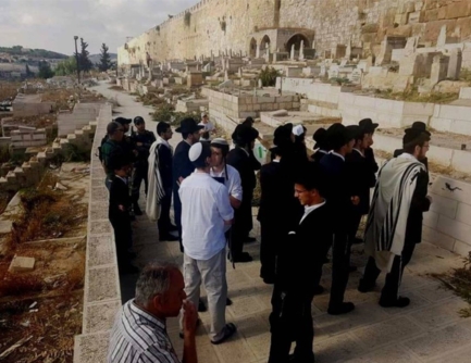 "الإفتاء الأعلى" في فلسطين يدعو لحماية مقبرة باب الرحمة الملاصقة للمسجد الأقصى  