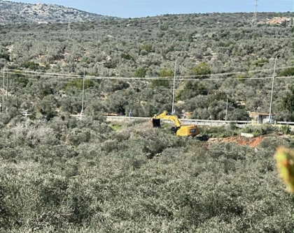 قوات العدو الصهيوني تواصل تجريف واقتلاع أشجار زيتون معمرة في سلفيت