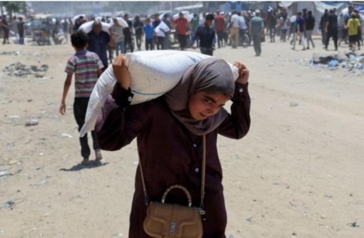 مصائد الموت "الصهيو أمريكية".. امتهان للنساء الباحثات عن الطعام