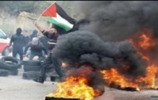 تصاعد عمليات المقاومة في الضفة الغربية بـ31 عملية خلال 48 ساعة