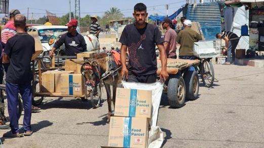 "الأغذية العالمي" : استئناف توزيع الطحين على العائلات الفلسطينية في قطاع غزة قريبا