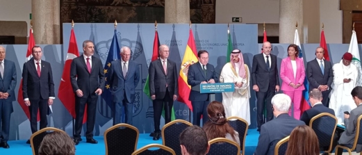 اجتماع مدريد يؤكد ضرورة الانسحاب الكامل لقوات العدو من قطاع غزة ومحور "فيلادلفيا"