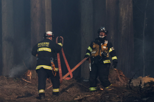 حرائق غابات تُجبر آلاف السكان في شمال اليابان على إخلاء منازلهم