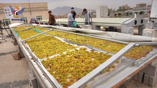 هيئة العلوم والبحوث تنجح في تصنيع وتطوير مجففات شمسية لمواجهة الفاقد الزراعي 