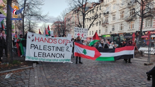 مسيرة داعمة لفلسطين بمدينة هامبورغ الألمانية بمشاركة جاليات اليمن وفلسطين ولبنان