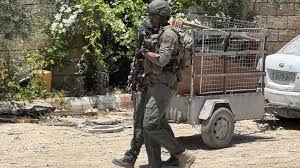 قوات صهيونية تعتدي على فلسطينيين ومتضامنين أجانب شمال طوباس