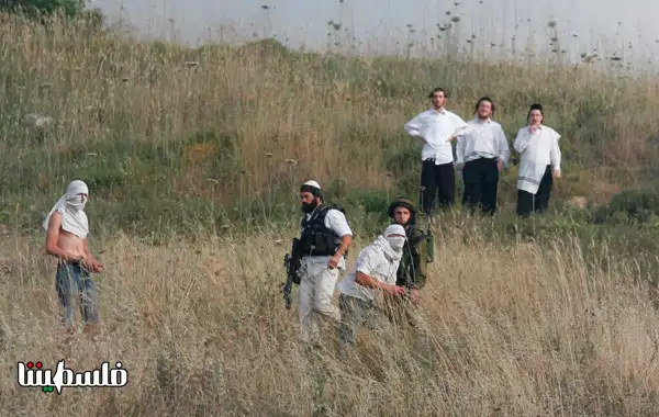 مستوطنون يحطمون 4 مركبات في ياسوف شرق سلفيت وآخرون يعتدون على أراضي زراعية بالأغوار الشمالية