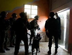 قوات العدو الصهيوني تقتحم كفردان غرب جنين