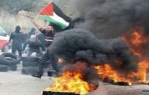  14 عملا للمقاومة الفلسطينية في الضفة الغربية خلال الـ 24 ساعة الأخيرة