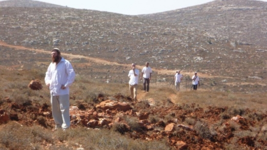 مستوطنون يعتدون على ناشط أجنبي ويرعون مواشيهم بمسافر يطا