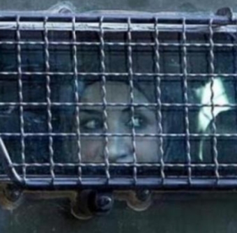 "دراسات الأسرى": الكيان يستخدم تهمة التحريض ذريعة لاعتقال النساء واحتجازهن في ظروف مهينة