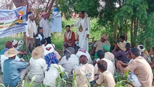 يوم حقلي لمزارعي الذرة الشامية في مديرية الزهرة بالحديدة