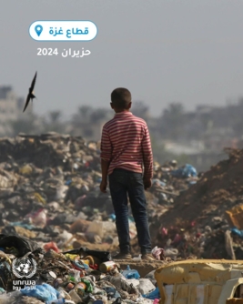 "أونروا" تقيم معرض صور في عواصم أوروبية لعرض جرائم "إسرائيل" في غزة