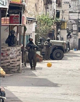 العدو الصهيوني يقتحم قلقيلية ويمنع استصلاح أرض