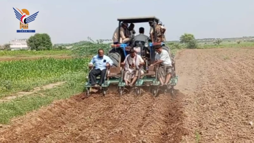 تدشين حصاد الذرة الشامية بمديرية بيت الفقيه في الحديدة تدشين حصاد الذرة الشامية بمديرية بيت الفقيه في الحديدة