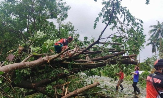 السلطات الفلبينية:ارتفاع حصيلة ضحايا عاصفة "بوالوي" إلى 11 شخصًا