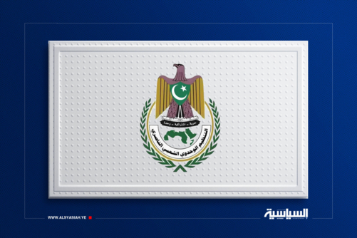 التنظيم الوحدوي الناصري يبارك الضربات الاستباقية ضد القوات السعودية ومرتزقتها