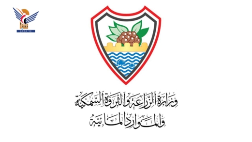 وزارة الزراعة تؤكد استمرار منع استيراد الدجاج المجمد وتشيد بجهود دعم المنتج المحلي 