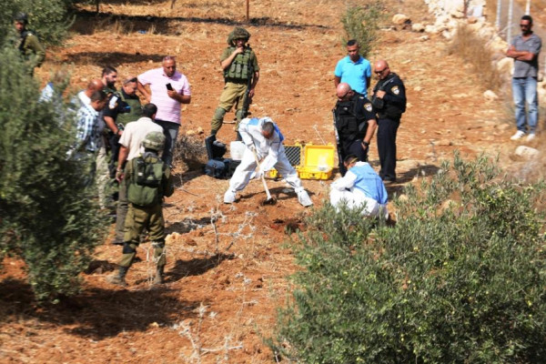 "زيتون المقاومة".. موسم الحصاد يتحول إلى جبهة صمود في وجه المستوطنين