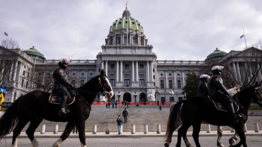 استطلاع: ربع الأمريكيين تقريبا يعتبرون الولايات المتحدة دكتاتورية