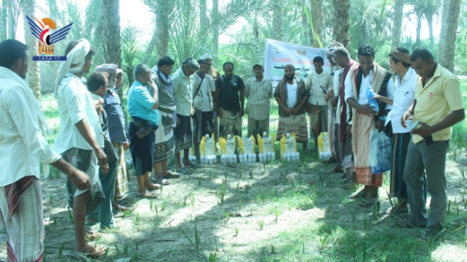 تدشين توزيع مدخلات الحقول الإيضاحية للإنتاج النباتي لمزارعي النخيل بالدريهمي تدشين توزيع مدخلات الحقول الإيضاحية للإنتاج النباتي لمزارعي النخيل بالدريهمي