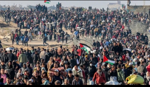 "أوتشا": وقف إطلاق النار في غزة لا ينهي الأزمة الانسانية داخل القطاع