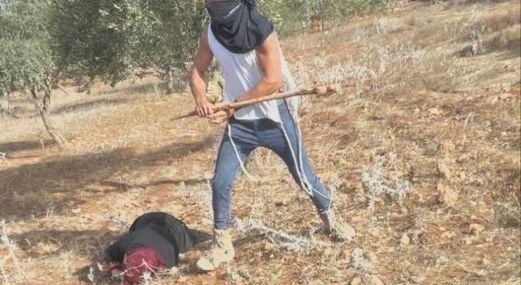 مستوطنون يعتدون على ثلاثة فلسطينيين غرب يطا ويحرقون أشجار الزيتون برام الله 