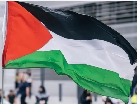 هيئة دولية: الاعترافات بدولة فلسطين تاريخية لكنها بلا جدوى دون إجراءات عملية