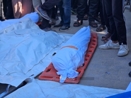 ارتفاع شهداء غزة إلى 45,553 