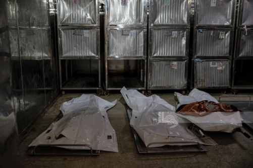 استشهاد فلسطينيَين وإصابة آخرين بنيران العدو الإسرائيلي وسط وشمال قطاع غزة