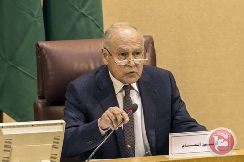 أبو الغيظ: الفلسطينيون لن يكونوا وحدهم وأطروحات التهجير مرفوضة  