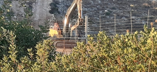 الاحتلال يقتلع عشرات أشتال الزيتون بعد تجريف أرض جنوب بيت لحم