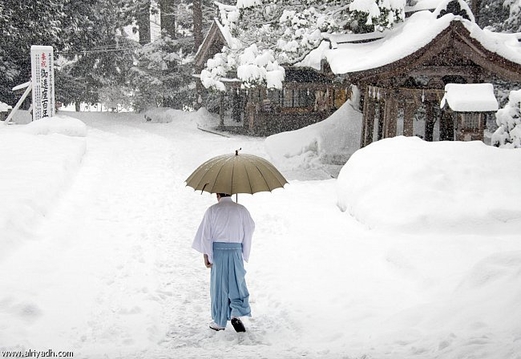 مصرع 60 شخصا على الأقل أثناء إزالة الثلوج في اليابان