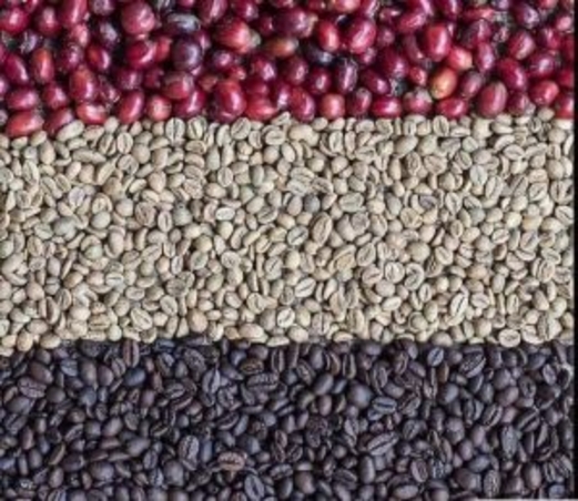 البن في يومه الوطني