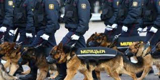 الأجهزة الأمنية في بيلاروس تعثر على كميات من المتفجرات والأسلحة