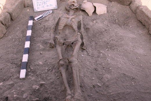 دراسة تكشف عن تاريخ جديد للدماغ البشري