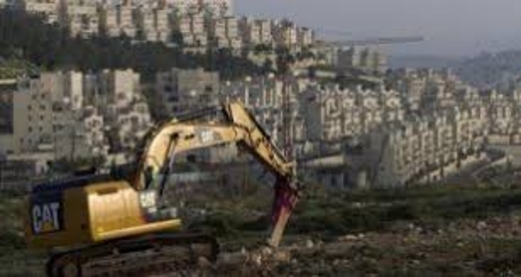  الاحتلال تعتدي ع الفلسطينيين ويعتقل 12 منهم  ومستوطنين  يقتحمون المنطقة الأثرية في سبسطية بالضفة