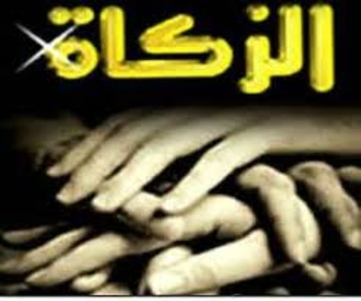 الهيئة العامة للزكاة.. تكافل وتمكين