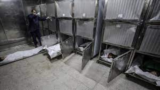 الصحة: 38 شهيدا و442 اصابة في  الضفة وقطاع غزة أمس