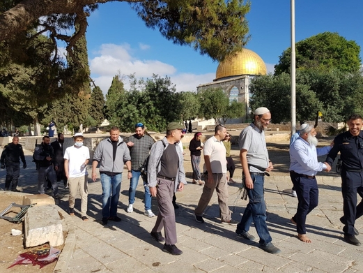 مستوطنون يقتحمون الأقصى بقيادة وزير إسكان الاحتلال وآخرون يجرفون أراضٍ بالخليل