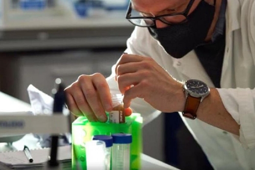 “حرير العنكبوت النباتي” بديل مستدام للمواد البلاستيكية