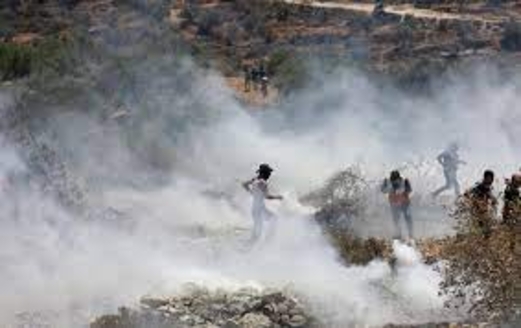4 إصابات برضوض وعشرات حالات الاختناق خلال مواجهات مع الاحتلال في بيتا