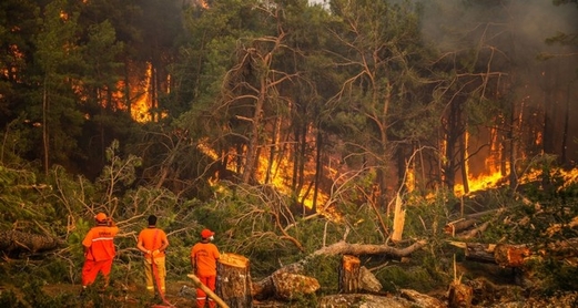 تركيا : اخماد 160 من حرائق الغابات من اصل 174 حريقا