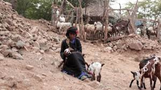 المسلسل والأسلوب الإجرامي الجديد.. الأمم المتحدة والسيناريو المكشوف!!