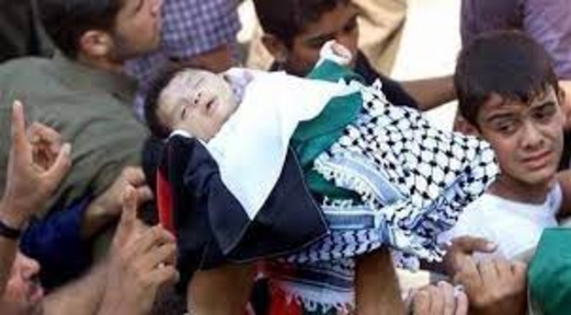 عضو بالكونغرس الأمريكي تطالب بوقف قتل الأطفال الفلسطينيين