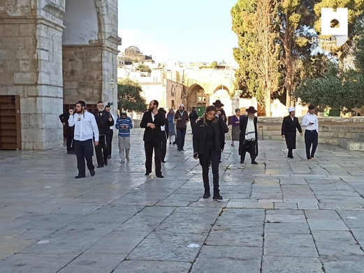 عشرات المستوطنين يجددون اقتحامهم للأقصى والاحتلال يعتقل شابين من بيت لحم