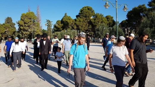 مستوطنون صهاينة يواصلون اقتحام باحات الأقصى في مجموعات استفزازية