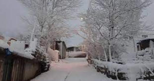 ثلوج كثيفة في كولورادو تساعد على إخماد الحرائق