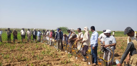 وزارة الزراعة تنفذ مسحاً ميدانياً لتقييم وضع الجراد الصحراوي