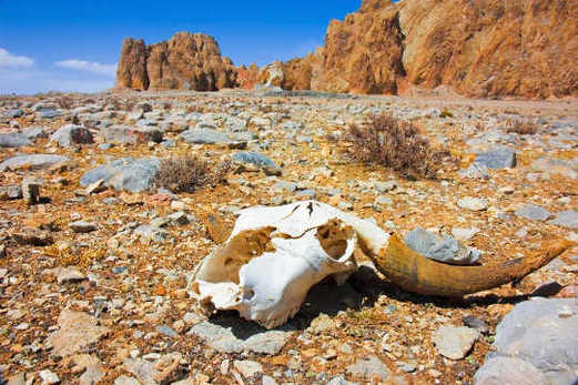 تحذيرات من أن السنوات الـ7 الماضية كانت الأشد ارتفاعاً للحرارة والوقت ينفد بسرعة